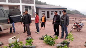 云南省農業科學院官方網站 引領農業與園藝服務的先鋒