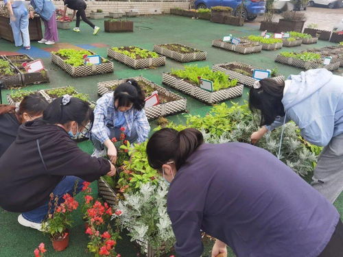 園藝專業學生黨支部赴農林大附小開展生物園養護系列活動 深化農業園藝服務共建