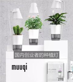 日本花卉展暨園藝和農(nóng)業(yè)新零售高端論壇開幕在即 農(nóng)業(yè)園藝服務(wù)的新機(jī)遇