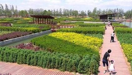 商標(biāo)45個(gè)類別詳解 農(nóng)業(yè)園藝服務(wù)所屬類別及重要性