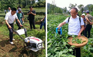 西北農林科技大學園藝學院 引領農業園藝服務創新，助力鄉村振興與現代農業發展
