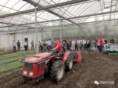 實力出擊！山地王閃耀上海市新型蔬菜機械演示會，引領農業園藝服務新篇章