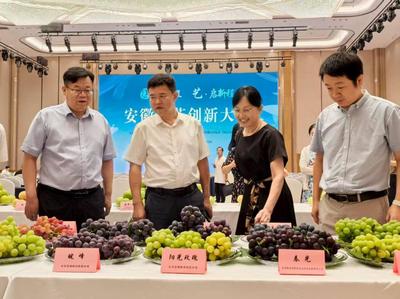 安徽園藝創新大會在合肥召開 推動農業園藝服務高質量發展