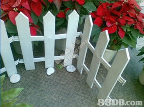 綠森林園藝 一站式專業園藝服務專家