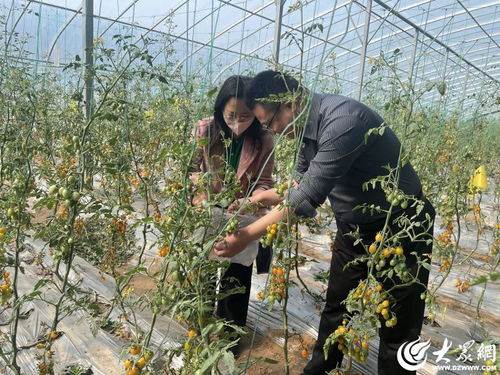 魚臺縣檢驗檢測中心赴東營開展省農產品質量安全監督抽查工作紀實