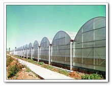 深圳市綠色田園農業科技 引領都市農業新潮，打造智慧園藝服務典范